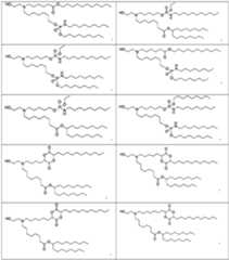 Figure imgf000010_0001