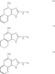 Figure US08143270-20120327-C00253