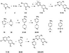 Figure FDA0003207287100000052