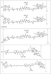 Figure BDA0002889616220000921