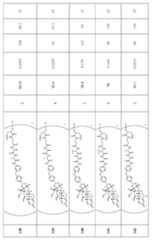 Figure imgf000336_0001