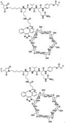 Figure BDA0002889616220001021