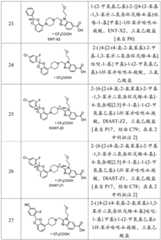 Figure BDA0003363737300002531