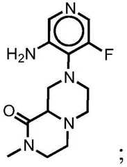 Figure BDA0001412716210002022
