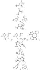 Figure imgf000023_0001