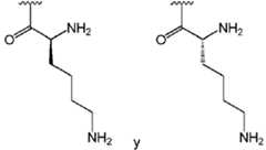 Figure imgf000036_0003