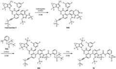 Figure imgf000223_0001