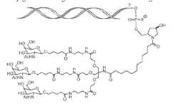 Figure imgf000162_0002