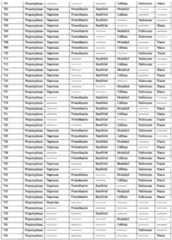 Figure imgf000095_0001