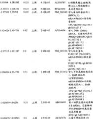 Figure BPA00001280678300631