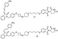 Figure BDA0003027048450003341