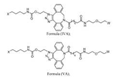 Figure imgf000091_0002