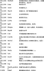 Figure BDA0000057170160001521