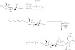 Figure US07297511-20071120-C00106