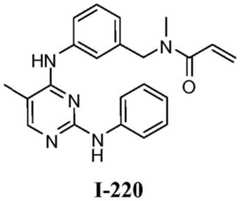 Figure BDA0001453135130002992