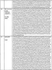 Figure BPA0000175368630000391