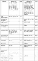 Figure imgf000020_0001