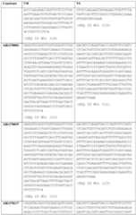 Figure imgf000102_0001