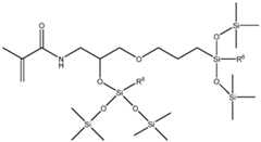 Figure imgf000009_0001