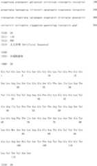 Figure IDA0002581779080000331