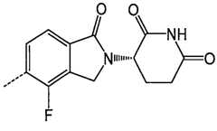 Figure 112134112-A0202-13-0015-789