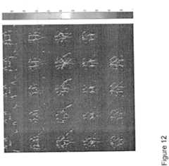 Figure imgf000164_0001