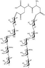 Figure imgf000012_0001