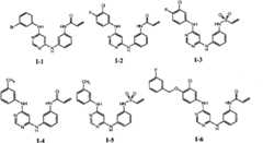 Figure BPA00001476434900501