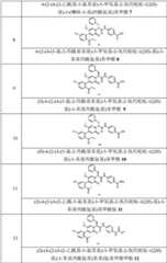 Figure GPA0000257967300000121