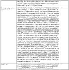 Figure imgf000123_0001