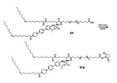 Figure JPOXMLDOC01-appb-C000091