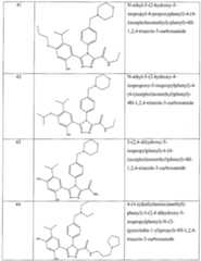 Figure imgf000101_0001