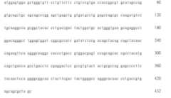 Figure 108123466-A0305-02-0314-146