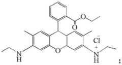 Figure FDA0003234502800000011