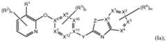 Figure imgf000011_0002