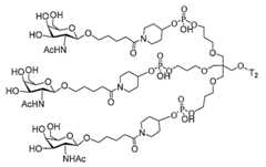 Figure 2023012548000267