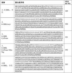 Figure GDA0004138988600001751