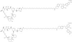 Figure US12048749-20240730-C00453