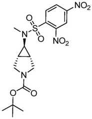 Figure GDA0001463766960001732