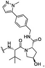 Figure BDA0003783300830001372