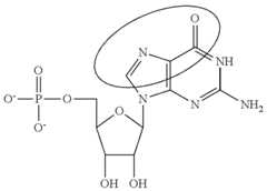 Figure US09220755-20151229-C00090