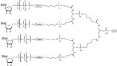 Figure imgf000036_0001