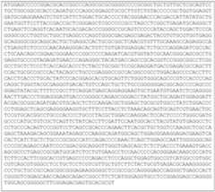 Figure imgf000021_0002