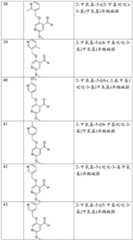 Figure BDA0002379504970001401