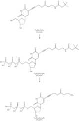 Figure US07727713-20100601-C00016