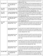 Figure imgf000042_0001