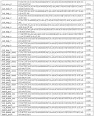 Figure imgf000337_0001