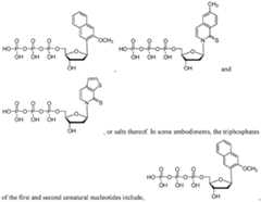 Figure imgf000060_0001
