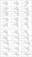 Figure BDA0004045679510000271