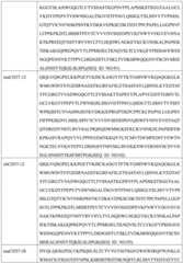 Figure GDA0002332994560000361